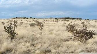 New Mexico Landscape Wallpaper