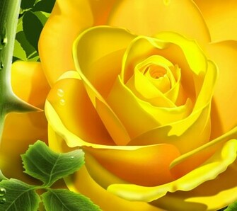 Flowers For Flower Lovers Wallpaper Desktop Background