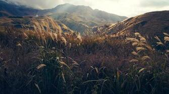 Range Valley Grass Japan Public Domain