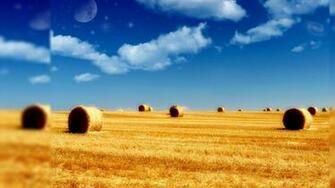 Summer Wallpaper HD For Desktop