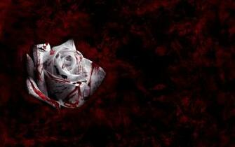 Blood Rose By Buckfutter Desktop Wallpaper