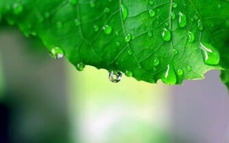 Rain Falling HD Wallpaper Pictures Image Background