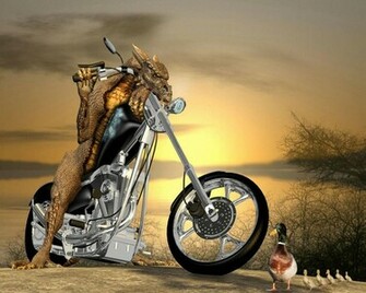 Funny Wallpaper