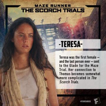 Maze Runner The Scorch Trials Character Cards Fandango