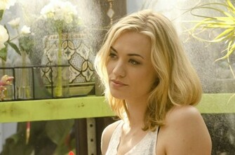 Pictures Image And Wallpaper In High Definition Quality