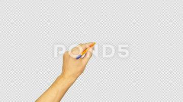 Male Left Hand Holding Pen For Writing On Green Background Alpha