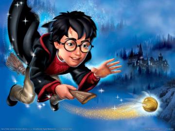 Can Harry Potter Magic Make Israeli Institutions For Children With