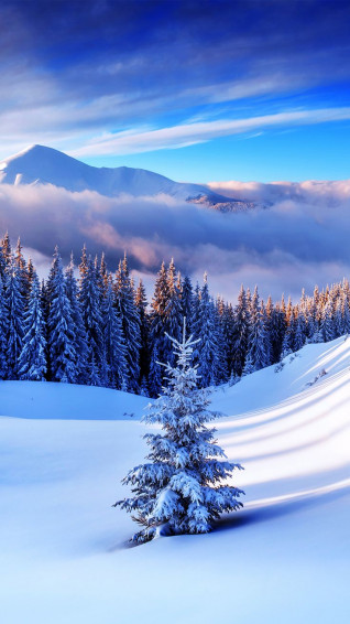 Winter Mountain Tree iPhone 6s Plus Wallpaper Gallery