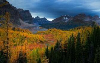 Mountains Trees Forests Valleys Canada British Columbia Rivers Mount
