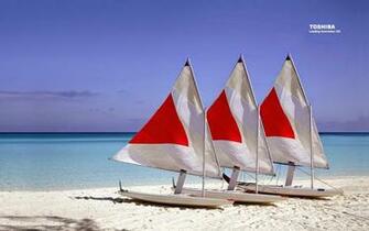 Toshiba Wallpaper Background Photos Image Andpictures For