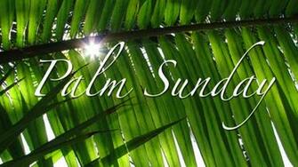 Palm Sunday Beautiful Desktop Background