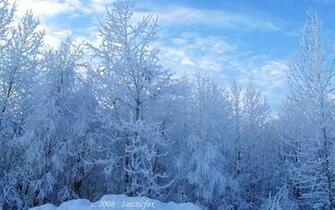 Snow Storm Wallpaper