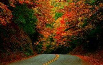 Mobile Phone Wallpaper Nature