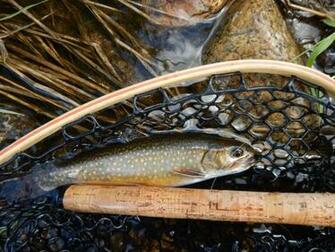 Manitoba S Wild Brook Trout Tenkara Fly Fishing Winnipeg