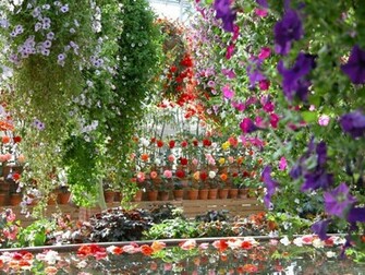Flower Garden Wallpaper