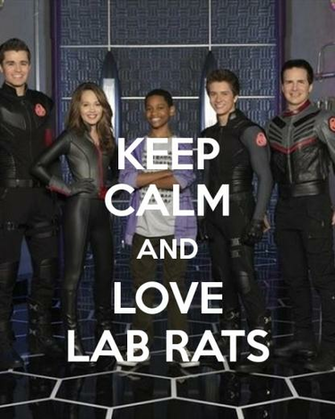Keep Calm And Love Lab Rats Poster Labrats O Matic