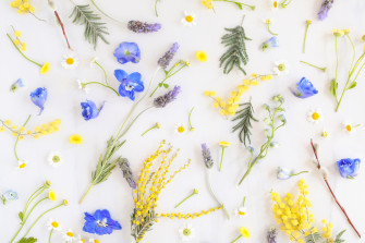 Digital Blooms May Desktop Wallpaper Justinecelina