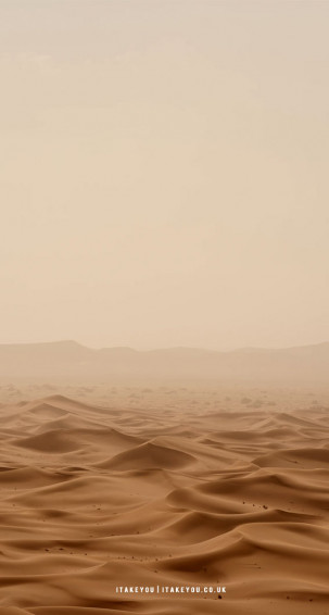Aesthetic Brown Wallpaper Desert I Take You