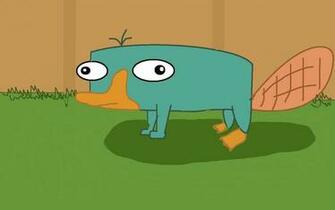 Perry The Platypus Wallpaper