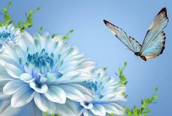 It Is The In A Series Of Chalk Butterfly Banks Wild