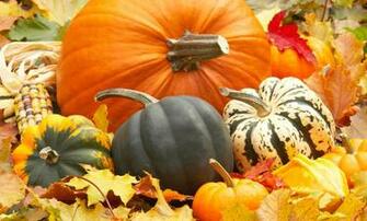 Fall Wallpaper Background With Pumpkins Image