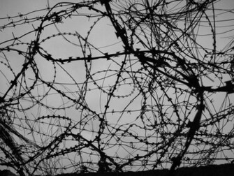 Barbed Wire Wallpaper On Background Cloudy Sky Military 3d
