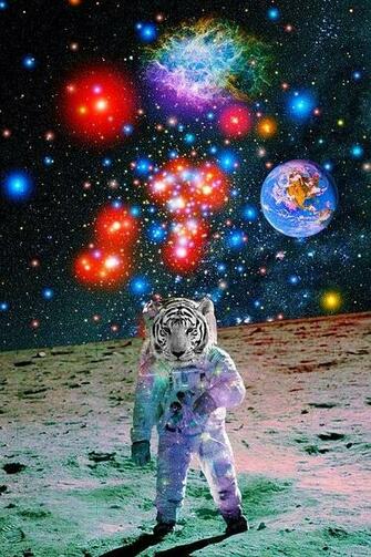 Trippy Tiger Wallpaper Impremedia Net