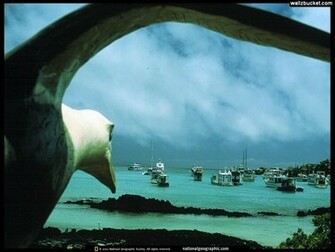 Unique Wallpaper Most Famous National Geographic HD