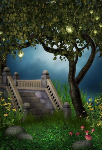 Find More Background Information About Life Magic Box Photography