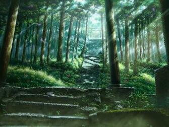Category Nature HD Wallpaper Subcategory Forest