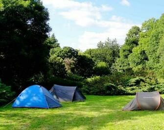 Family Camping Background Milin Kerh North