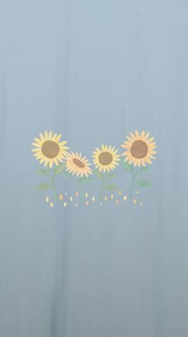 Aesthetic Flower Wallpaper For iPhone HD