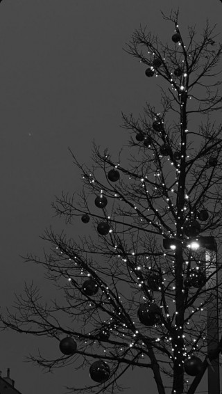 Dreaming Of A Black Christmas Wallpaper