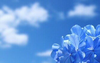 Desktop Blue Wallpaper HD