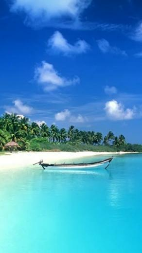Beach Wallpaper For Whatsapp Apk