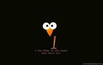 Bird Text Funny HD Wallpaper Library