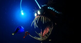 Central Wallpaper Finding Nemo 3d Movie Poster HD