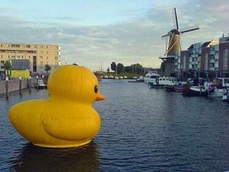 Giant Inflatable Artwork Port Rubber Ducks Wallpaper