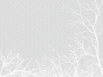 All White Wallpaper And Trees By