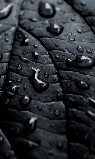 Home Wallpaper Blackberry Z10