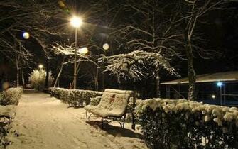 Nature Winter Night Wallpaper HD Walljpeg