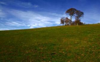 Indian Tree Hill Wallpaper HD