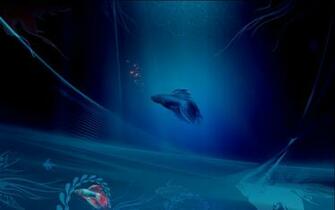 Windows Beta Fish Wallpaper By Makavelii
