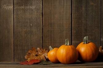 Thanksgiving Wallpaper For Ppt Bird I Saw