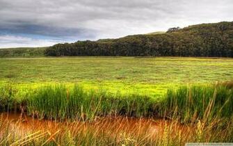 Wetland 4k HD Desktop Wallpaper For Ultra Tv Wide