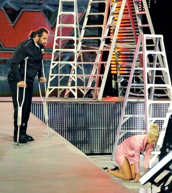 Back To Post Wwe Divas Raw Digitals