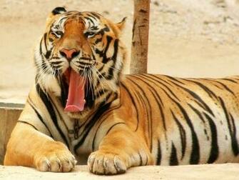 Afraid To Fall Asleep Part Ii Effects And Strategies Of Sleep