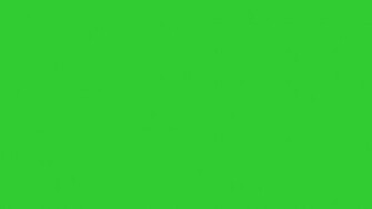 Lime Green Solid Color Background Image Pictures Becuo