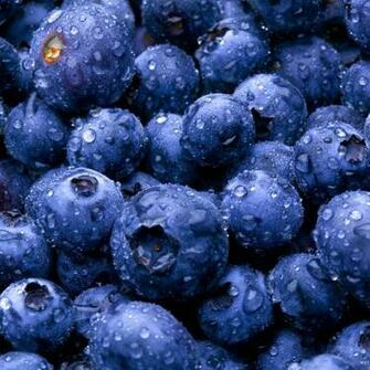 Berries iPad Wallpaper iPhone