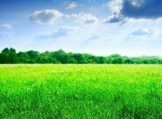 Green Field Tablet Wallpaper And Background